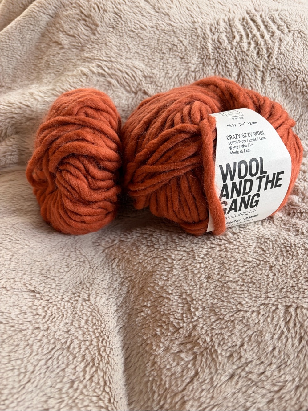 Crazy Sexy Wool and The Gang Yarn
